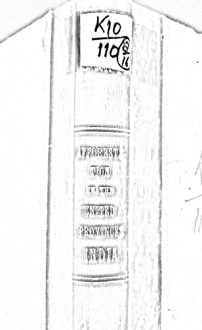 AFFORESTATION IN THE UNITED PROVINCES INDIA 1922