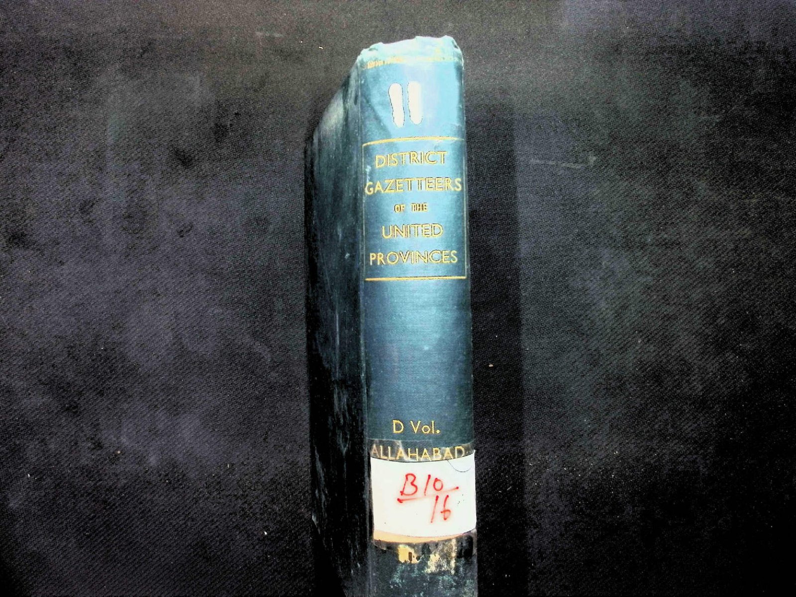 11  District Gazetteers of the United Provinces B1016