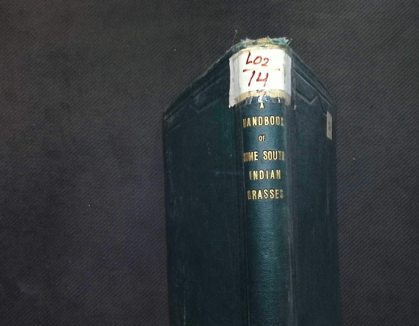 A HANDBOOK OF SOME SAUTH INDIAN GRASSES 1921