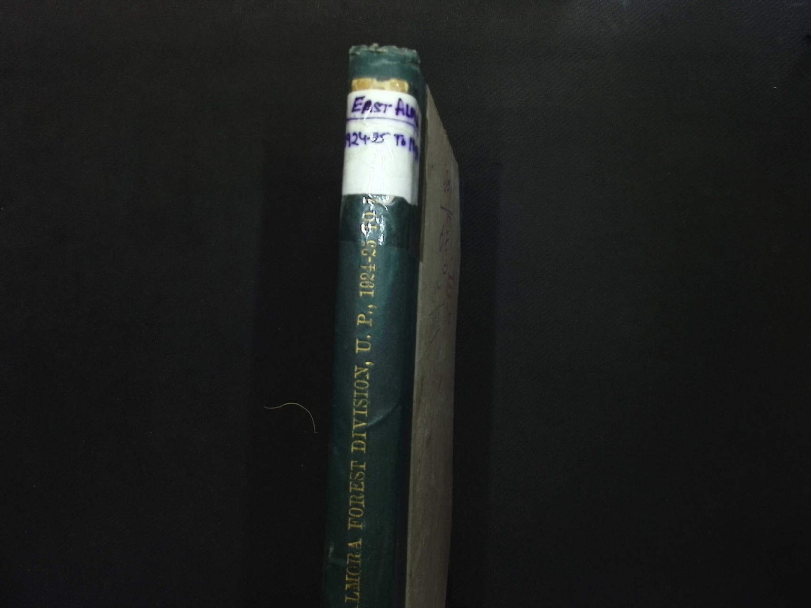 EAST ALMORA 1924-25TO1933-34