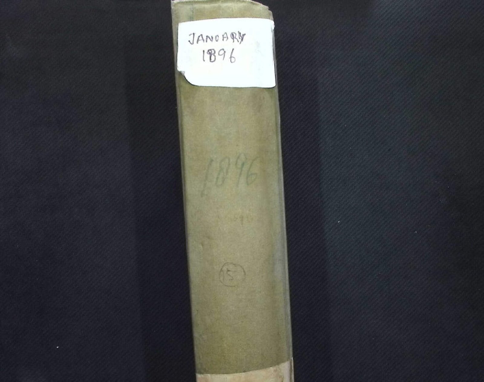 INDIAN FORESTER 1896