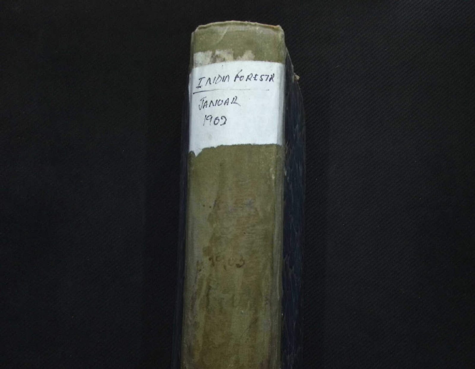 INDIAN FORESTER  VOL XXIX 1903