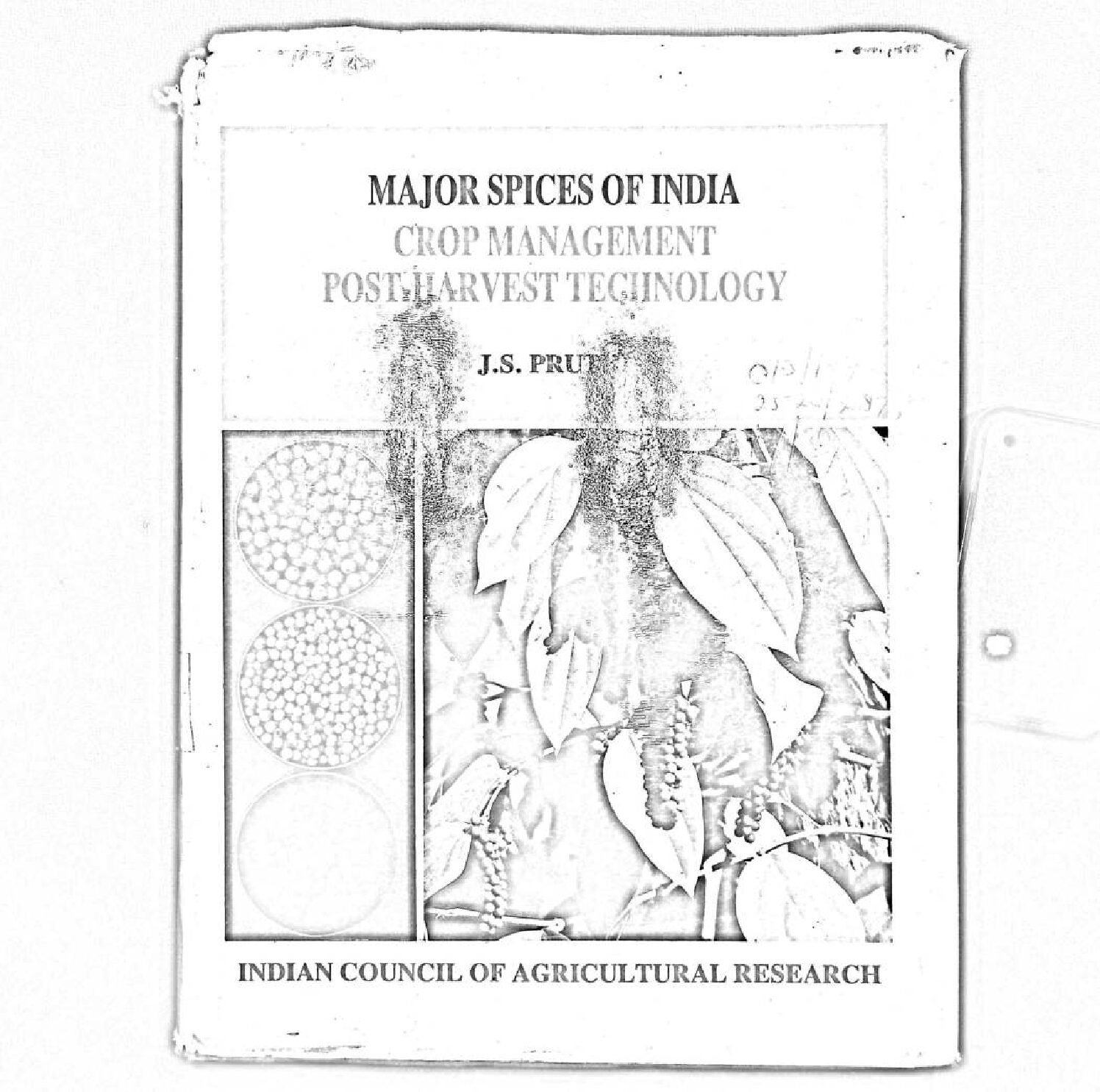 MAJOR SPICES OF INDIA 1993