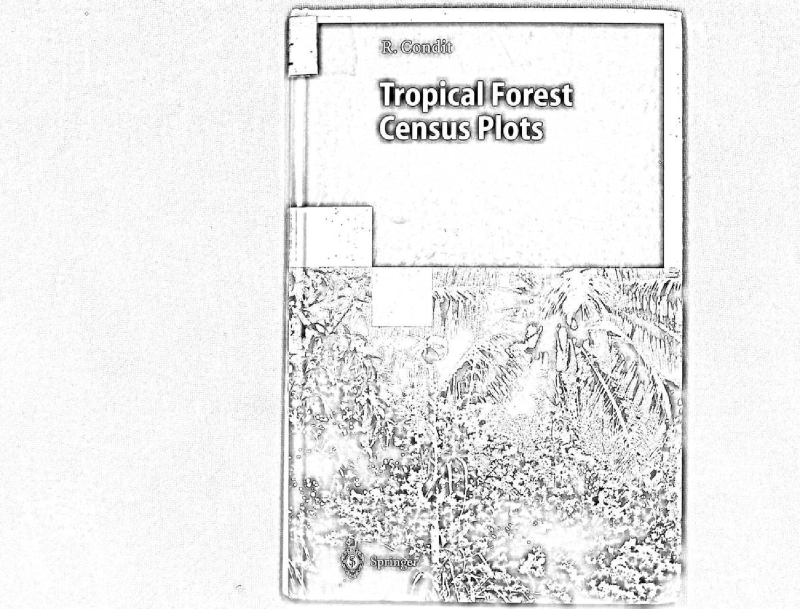 TROPICAL FOREST CENSUS PLOTS