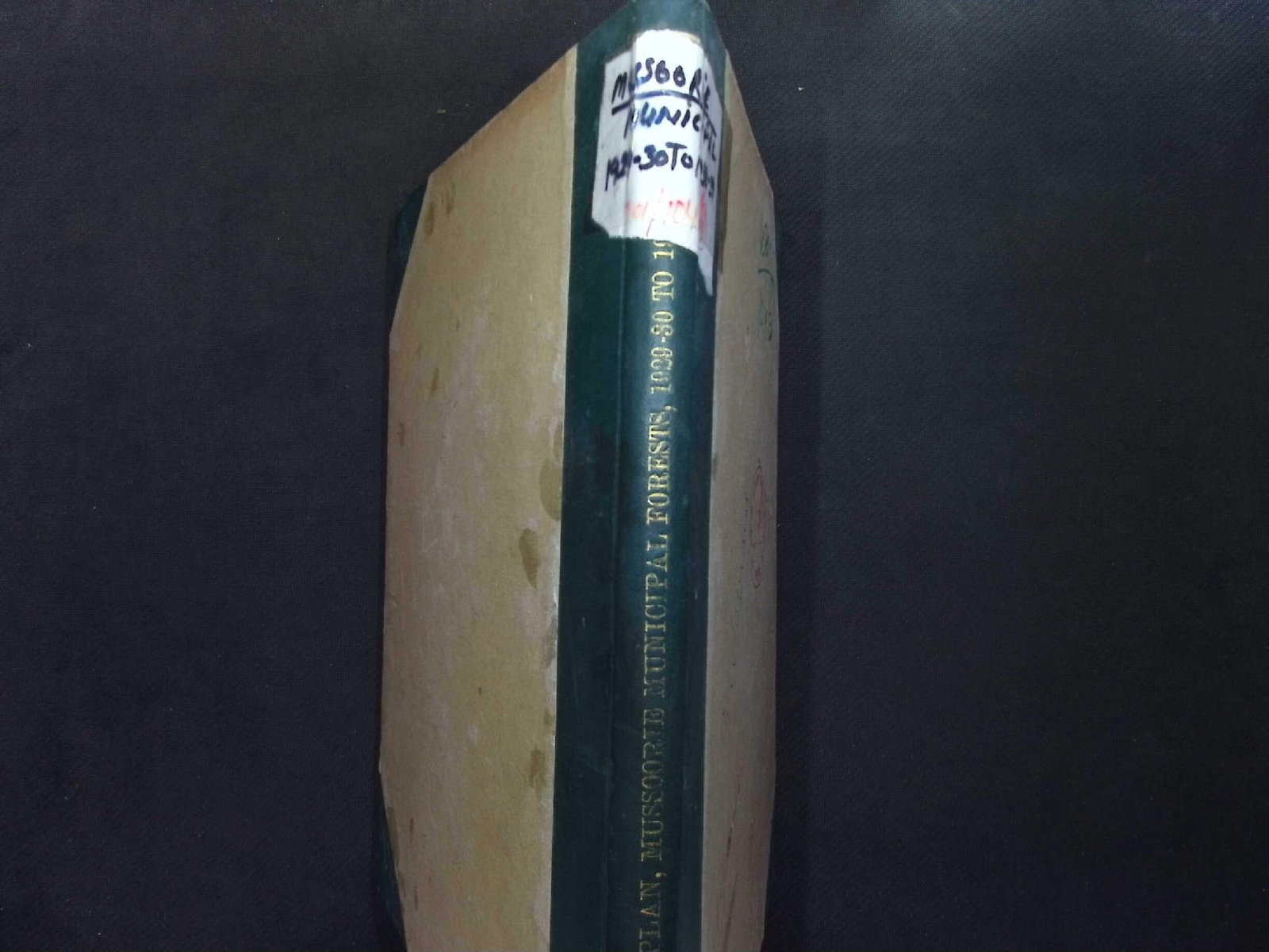 Municipal 1929-30 to 1938-39