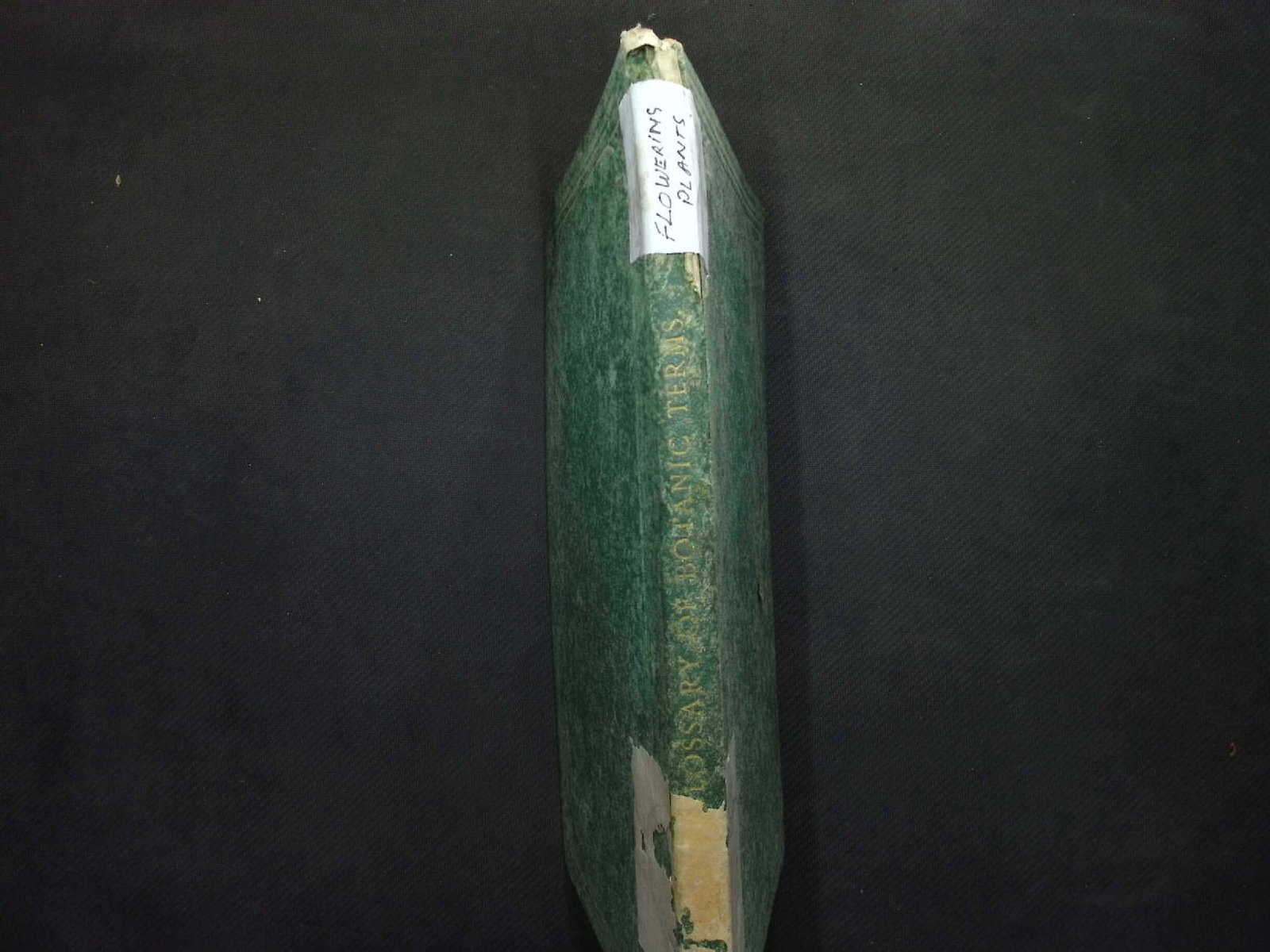 BOTANIC TERMS FLOWERIMS PLANTS