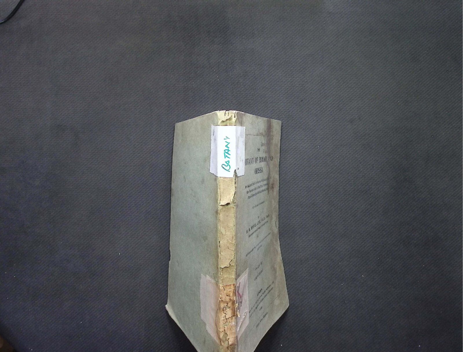 BOTANY OF BIHAR AND ORESSA PART II