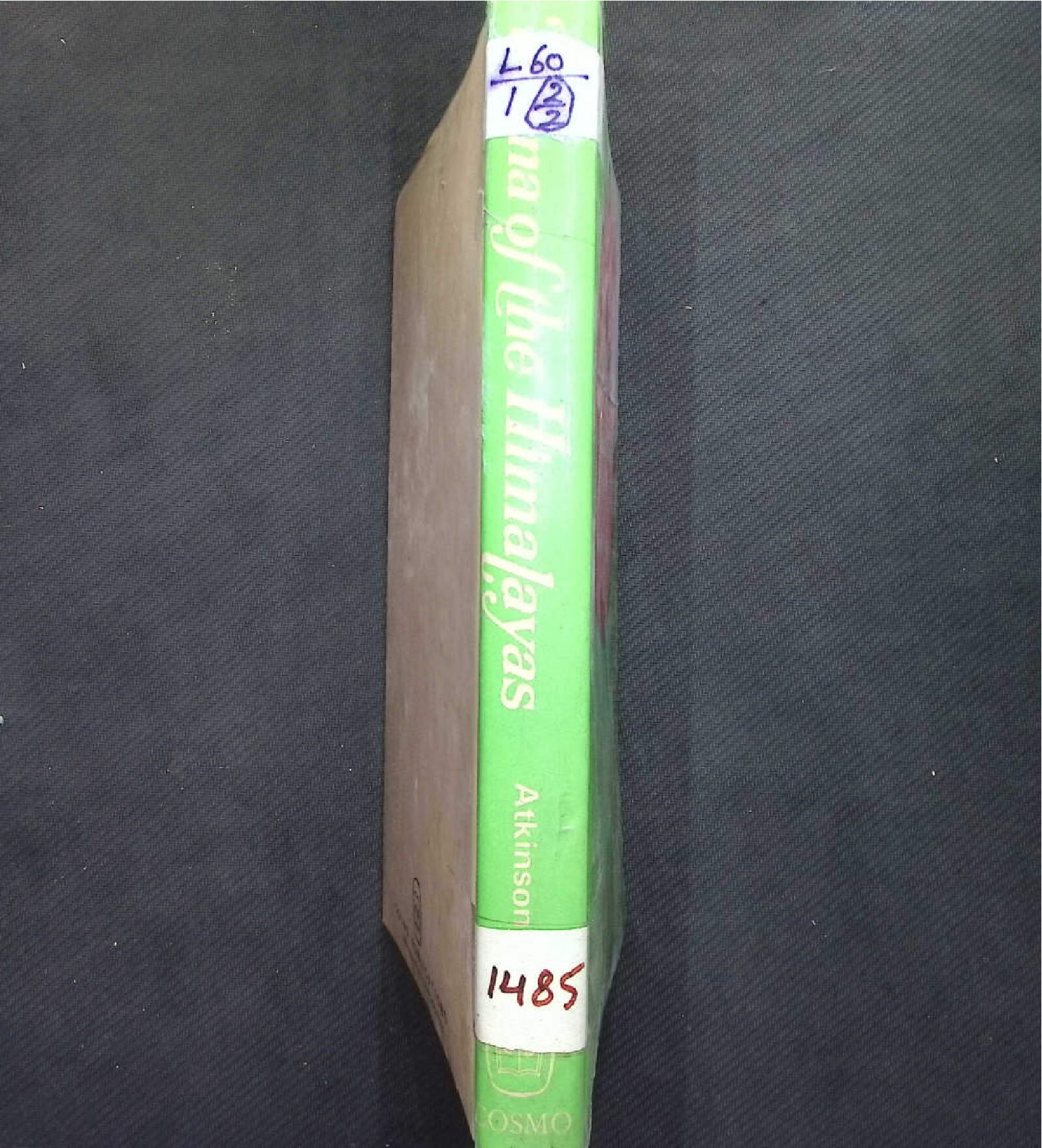 FAUNA OF THE HIMALAYAS