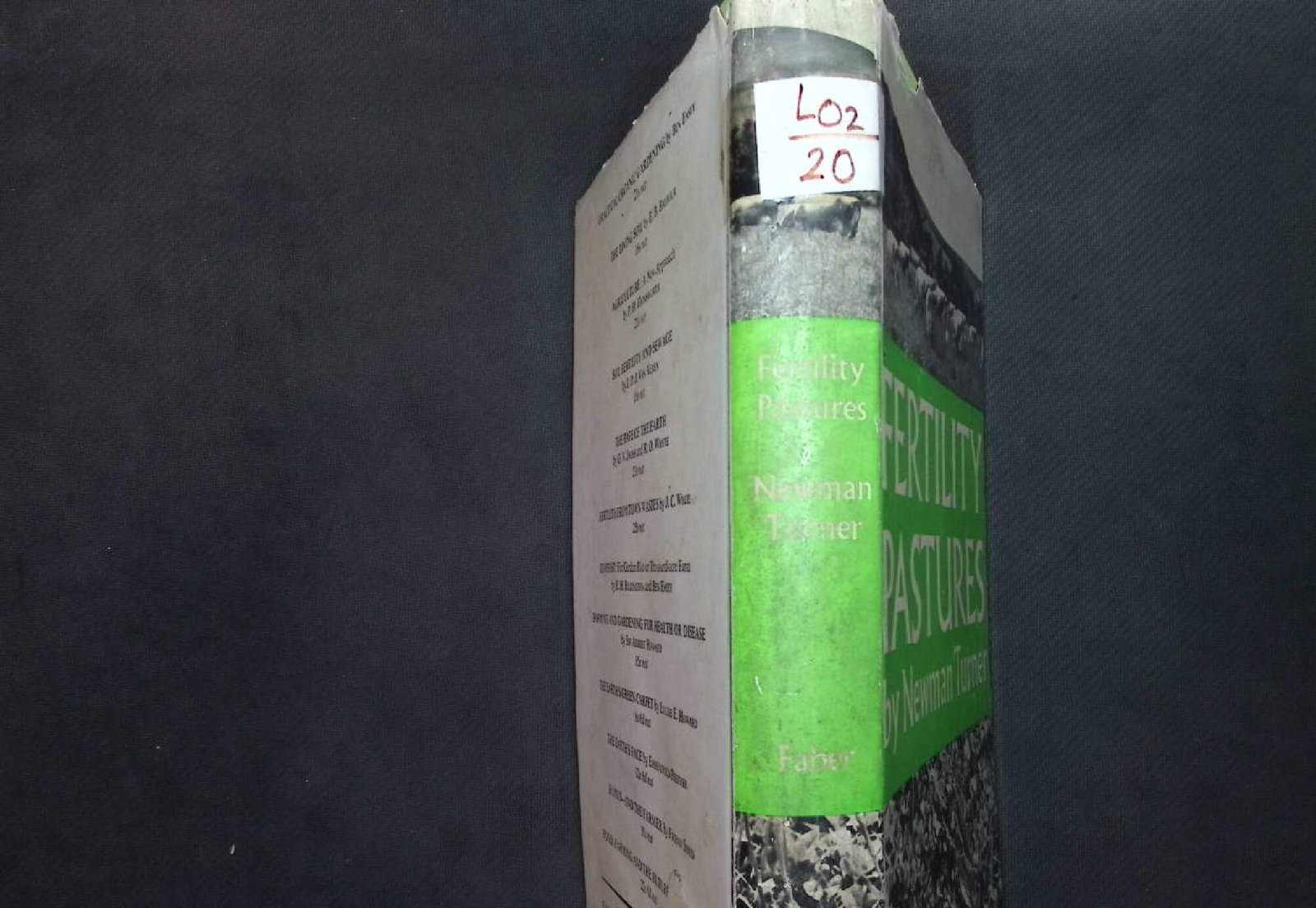 FERTILITY PASTURES BY NWMAN TURNER 1995