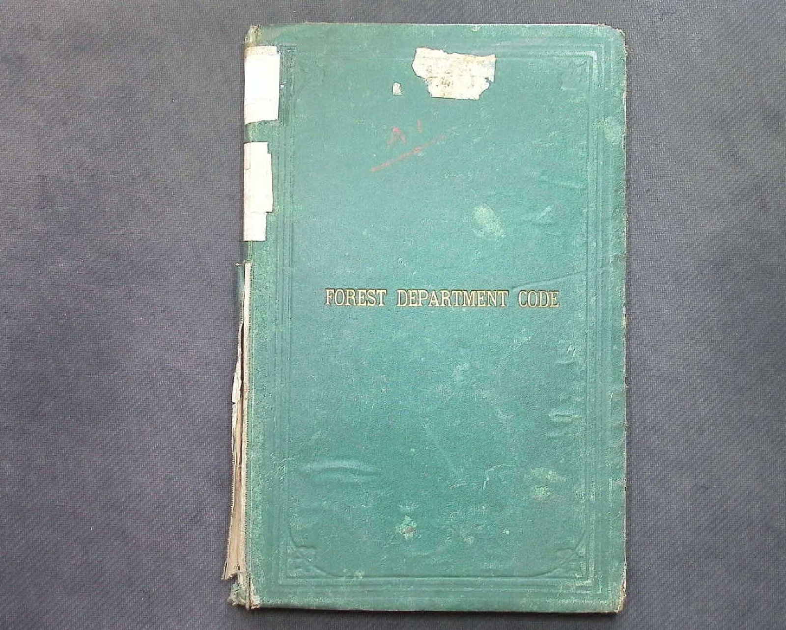 FOREST DEPARTMENT CODE 1913