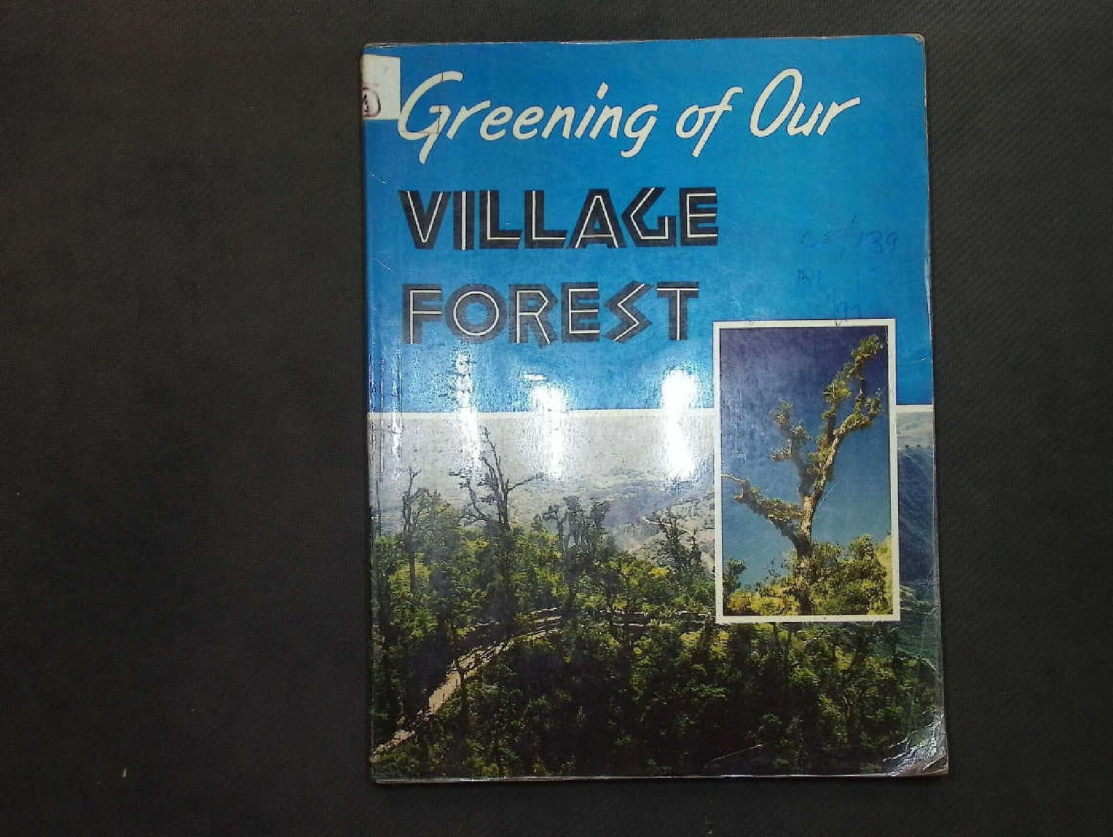 GREENING OF OUR VILLAGE FOREST 1991