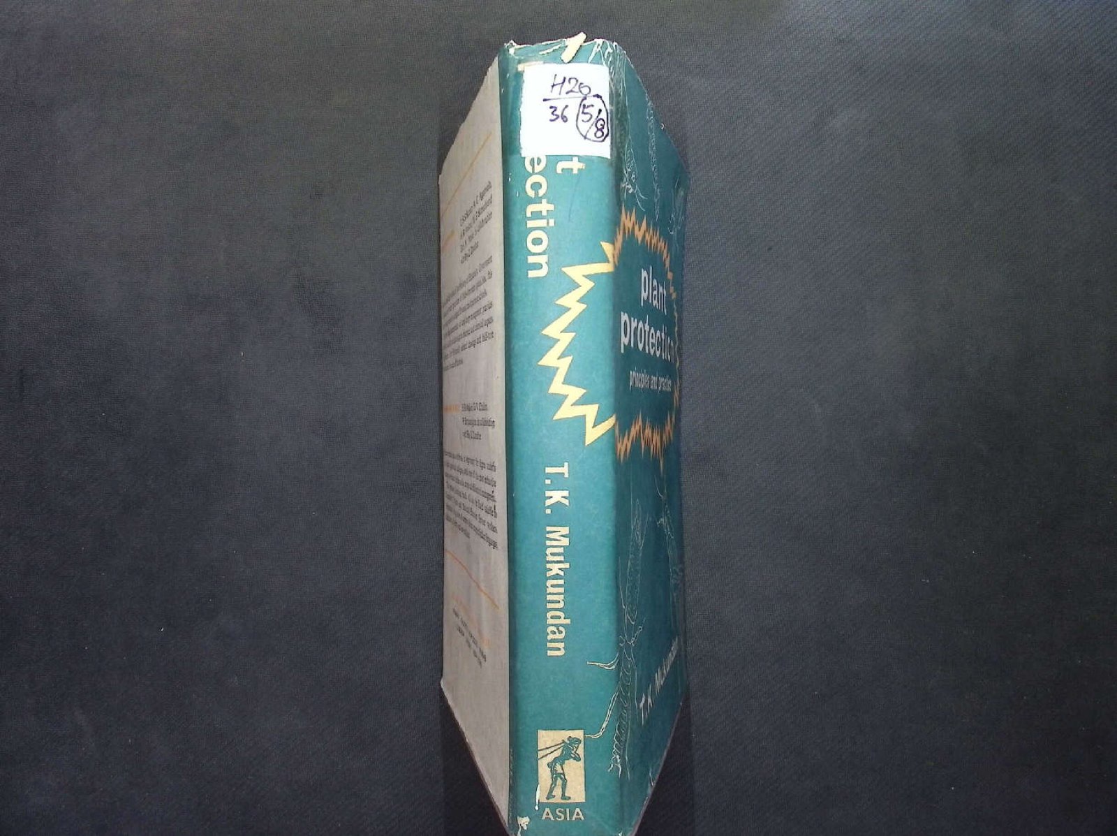 PLANT PROTECTION PRINCIPLES AND PRACTICE 1964