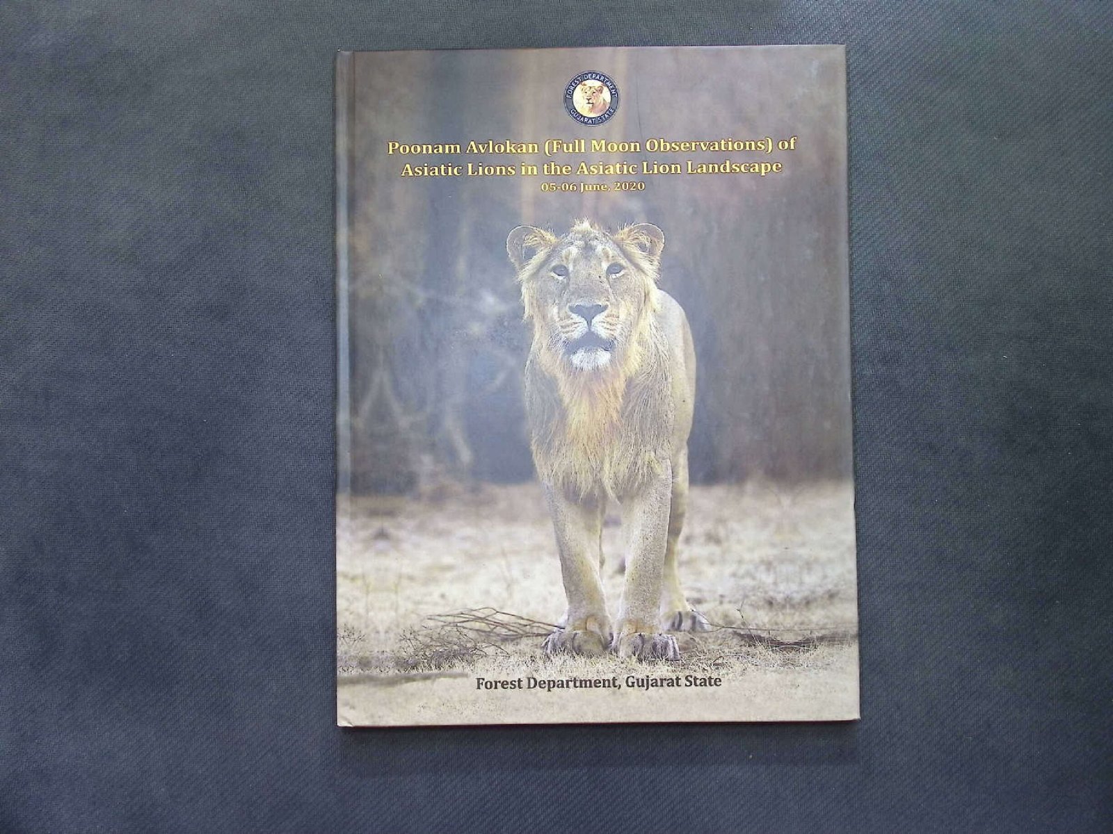 POONAM AVLOKAN (FULL MOON OBSERVATIOND ) OF ASIATIC LIONS IN THA ASIATIC LION LANDSCAPE JUNE 2020