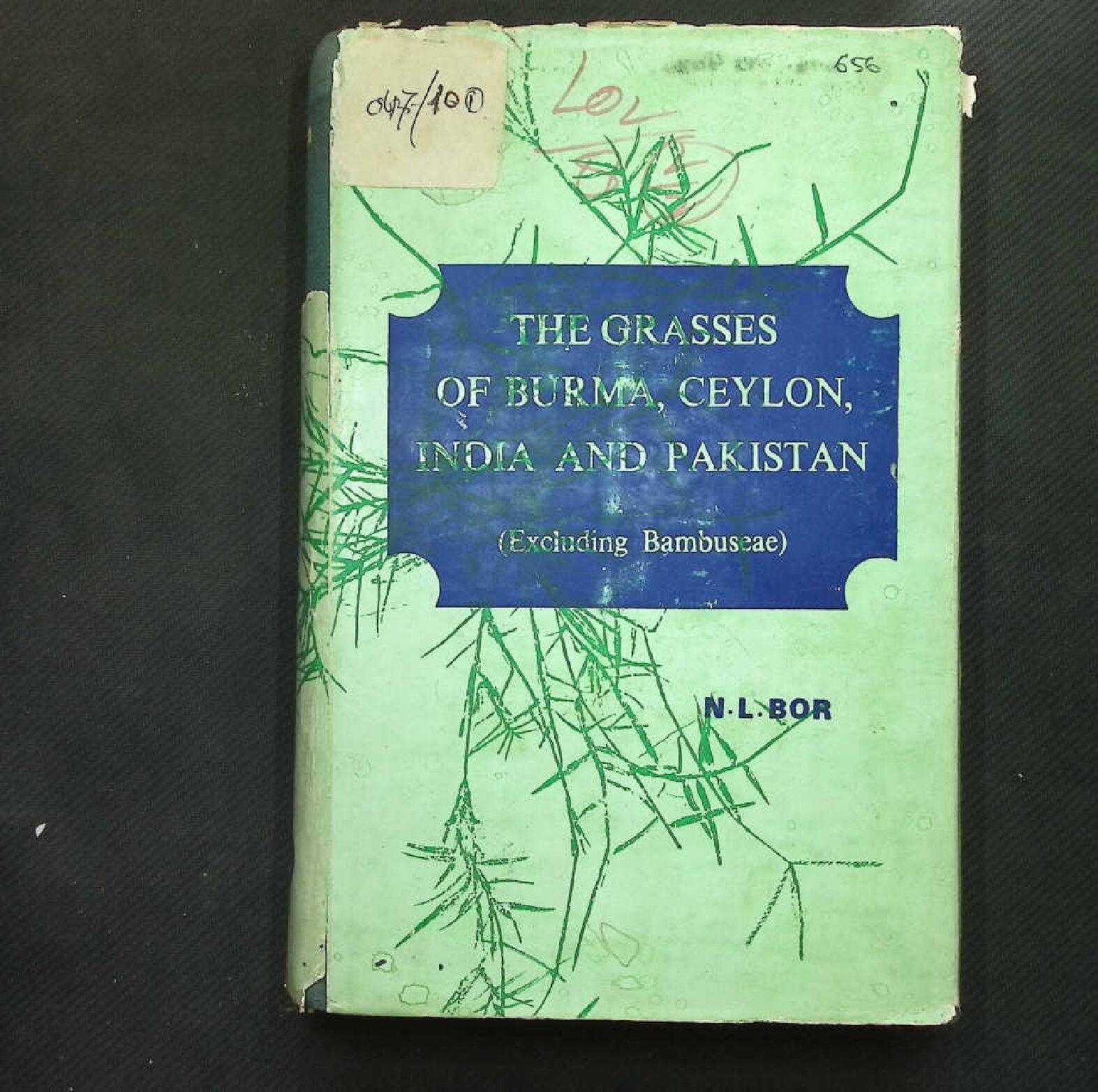 THE GRASSES OF BURMA CEYLON , INDIA AND PAKISTAN VOL I