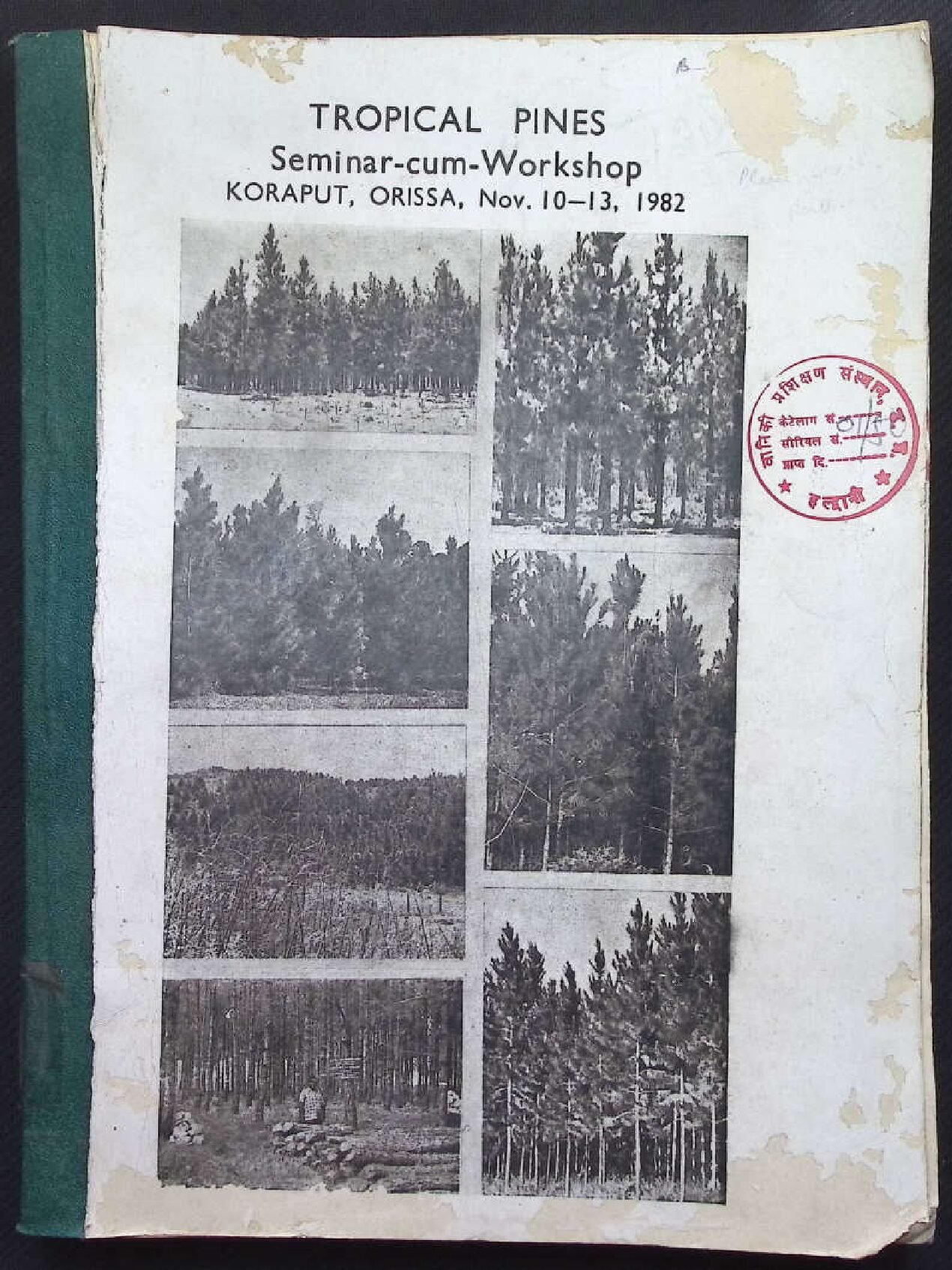 TROPICAL PINES SEMIAR-CUM - WORKSHOP 1982